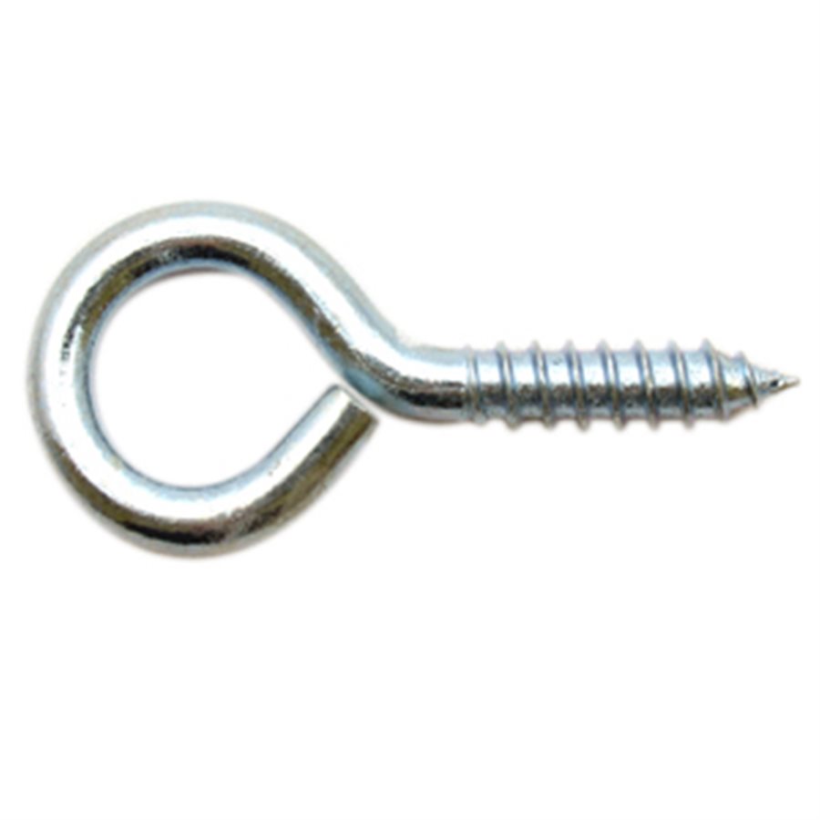 Eye Lag Screws